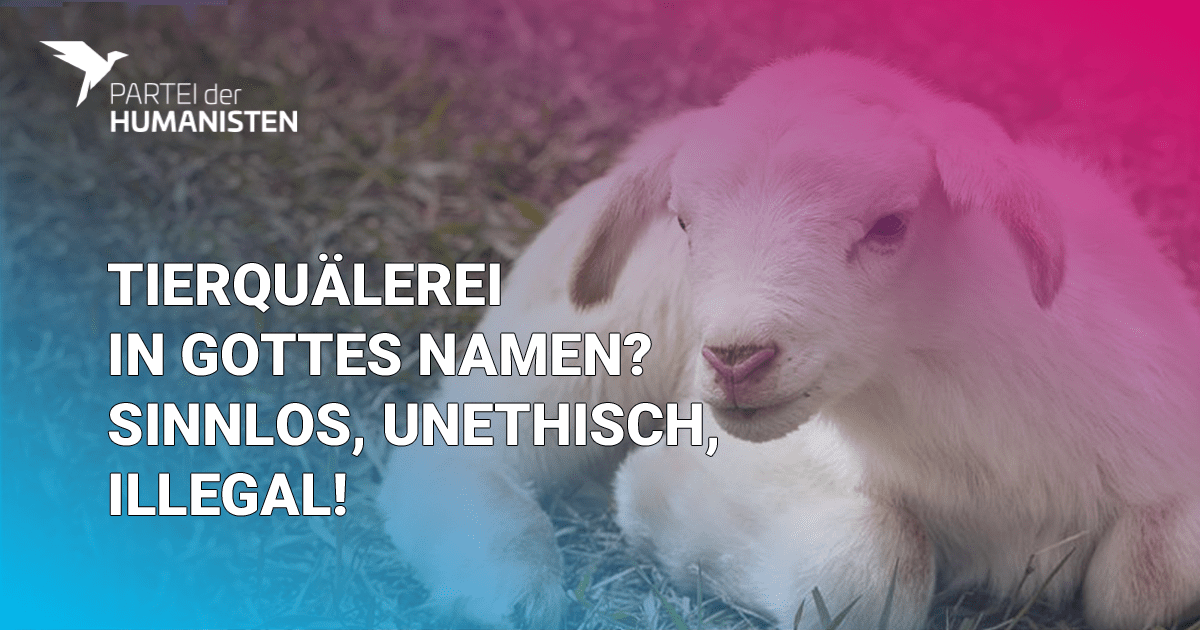Verbot von betäubungsloser Schächtung ist legitim!